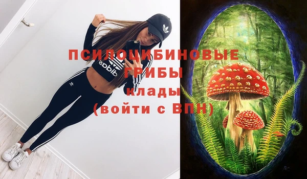 меф Алексеевка