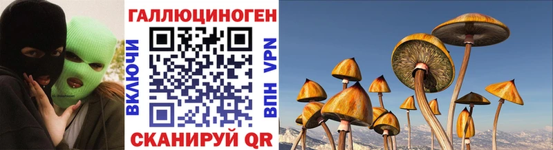 MEGA ссылки  продажа наркотиков  Саянск  Галлюциногенные грибы прущие грибы 